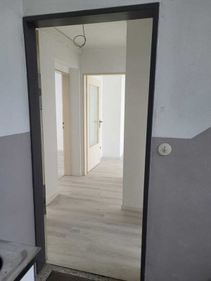 Gemütliche 2 Zimmer-Küche-Bad-Wohnung in den Mannheimer Quadraten