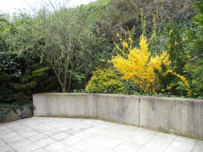 Gemütliche 2 Zi-Whg mit großer Terrasse