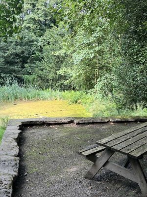 Finden Sie den verwunschenen Frosch! Luxuriöse Wohnung mit eigenem Froschteich und Schlosspark - mit
