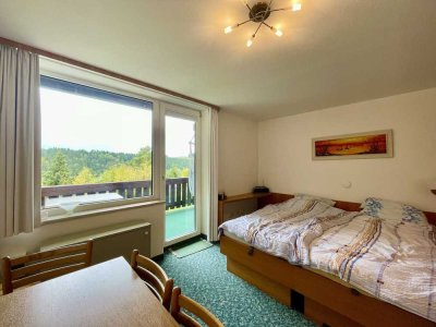 Sofort verfügbares Ferien-Appartement mit Balkon – ideal für Renovierung und Vermietung!