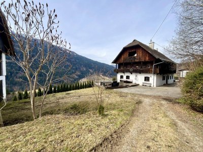 NATUR PUR! EXKLUSIVES UND URIGES BAUERNHAUS MIT WIDMUNG HOFSTELLE UND CA. 12 HEKTAR GRUNDSTÜCKSFLÄCHE IN ALLEINLAGE OBERHALB VON FELD AM SEE!