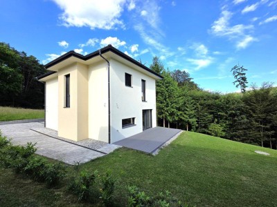 NEU! Modernes Einfamilienhaus mit Grünblick!