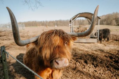 Dargow – Ein Einfamilienhaus fürs Familienglück, eingebettet in Natur und Seenähe!