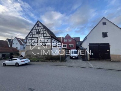 Projekt für die Zukunft, jetzt zugreifen !