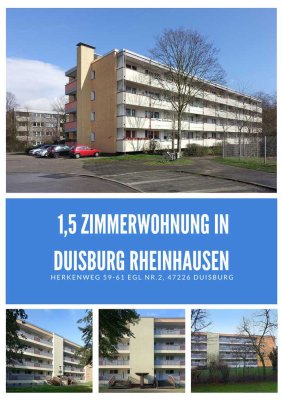 Modernisierte Singlewohnung im Grünen