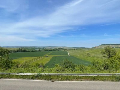 Renovierungsobjekt mit Potenzial: EFH in Löwenstein-Reisach mit tollem Blick auf den Breitenauer See