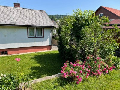 Kinder- und Haustierfreundliches Einfamilienhaus