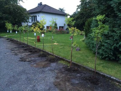HELLE WOHNUNG MIT GROSSEM GARTEN