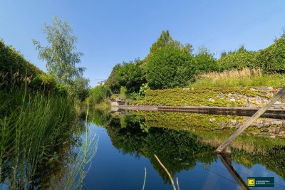 Stadt trifft Land: Exklusive Villa mit Gartenidylle und Schwimmbiotop in Ruhelage.