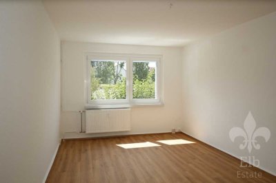 Frisch saniert mit Blick ins Grüne! Große Einraumwohnung im Erdgeschoss mit Balkon und Dusche