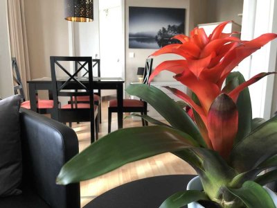 3 Zimmerwohnung exklusiv möbliert / vollständig ausgestattet in Sellin auf Rügen zu vermieten