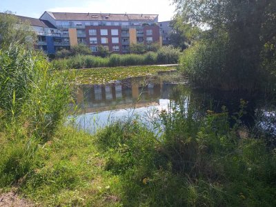 Wohnen auf der LeineInsel mit Seeblick