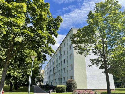 5 min. bis zum Hainer See! Komplett neu renoviertes 1 Zimmer- Apartment zum Eigennutz/ Kapitalanlage