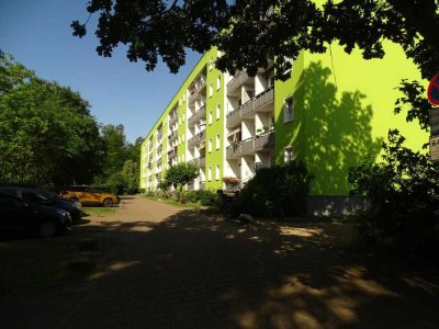 3-Raum-Wohnung im Hochparterre!