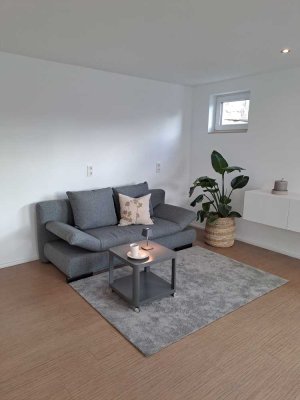 Möblierte und  vollständig renovierte 1-Zimmer-Wohnung mit Terrasse und EBK