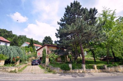 Hambach - EINMALIGE GELEGENHEIT - Traumlage mit Garten und tollem Haus
