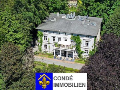 Villa im klassizistischen Stil mit großer Parkanlage zu verkaufen. Mehrfamilienhaus, Villa im Park