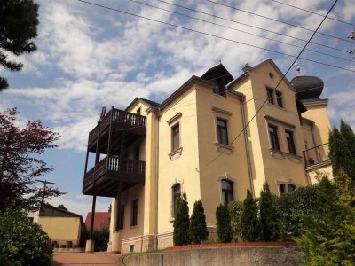 Großzügige 1-Raum-Wohnung in Dresden-Cossebaude!