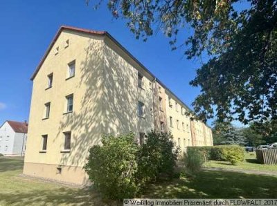 Paket - 3 Wohnungen in Röderau
