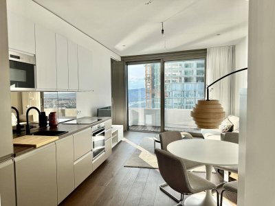 42. Etage: Möbliert - Gym, Pool und Wellnes: Den schönsten Ausblick mit Sonneuntergang auf Kahlenberg