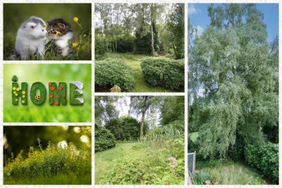 6-Zimmer Familienidyll für Tierfreunde & Naturliebhaber
