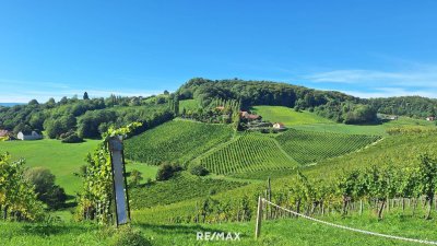 "Above it All" – Luxus-Apartment am Hochgrassnitzberg mit Aussicht und Anlagefaktor