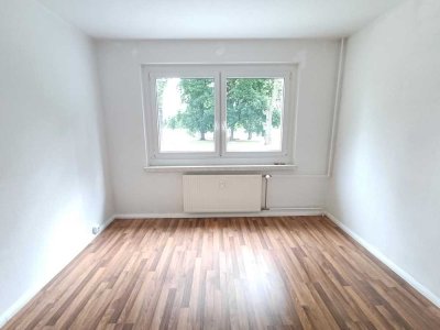 Helle Erdgeschosswohnung mit Balkon in Plauen