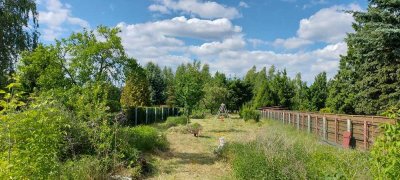 charmante modernisierte Doppelhaushälfte mit Nebengebäude und großem Garten