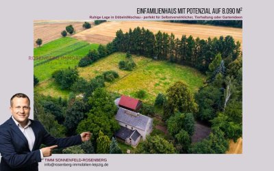 Renovierungsbedürftiges Einfamilienhaus mit großem Grundstück in Döbeln - Viel Platz für eigene Idee