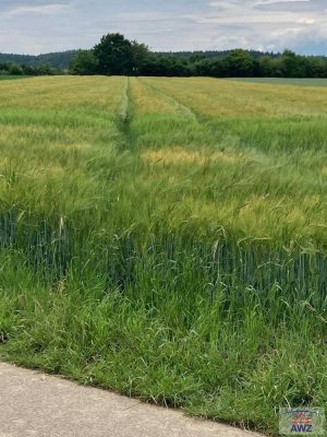 Kleine Hofstelle (Wohnhaus) mit eventuell landwirtschaftlichen Flächen!