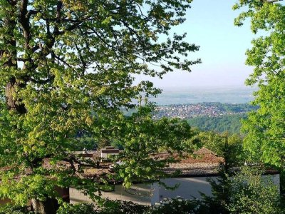 Traumwohnung Schlangenbad Georgenborn möbliert