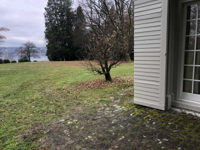 Große möblierte 1-Zimmer Wohnung mit Terrasse und Seezugang im Musikerviertel