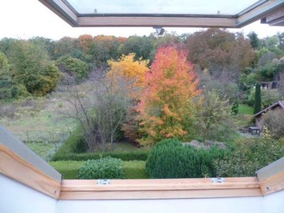 Modernes offen gestaltetes Einfamilienhaus in Süd-West Lage