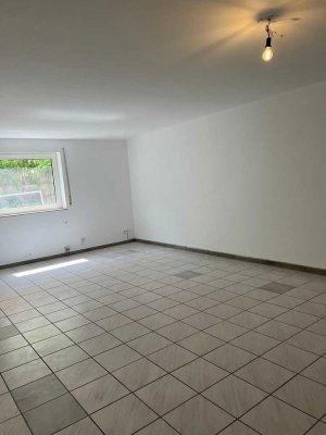 FRISCH renoviert: schöne 2-Zimmerwohnung im Souterrain in Roxheim