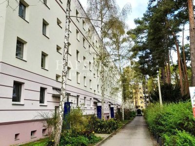 3-Zimmer Wohnung in Waldstadt II