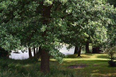 Einfamilienhaus mit Einliegerwohnung!+++0151-10658277---Nicole Bamberger+++