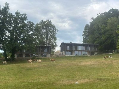 Außergewöhnliche Architektur in Traumlage am Starnberger See