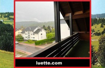 Penthouse-Whg, 2 1/2 Zi., Balkon, Lift, ruhig, Arzt / Apotheke / Einkauf / fussläufig um die Ecke...