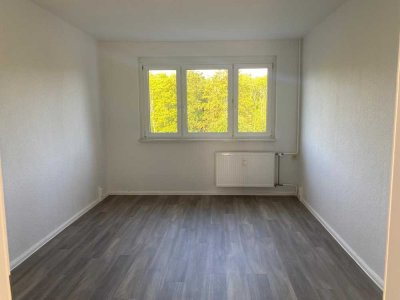 Nachmieter ab 15.12.2025 gesucht! Helle 1-Raum-Wohnung in ruhiger Lage- Paul-Flechsig Straße 21