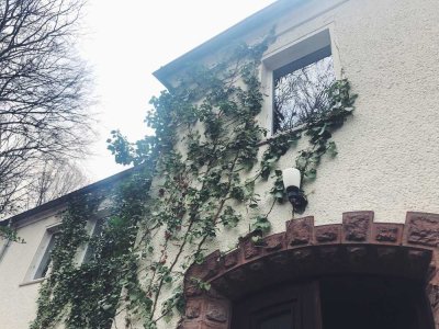 Wohnen mitten im Grünen: schöne 3-Zimmer-Wohnung mit Balkon in Haldensleben