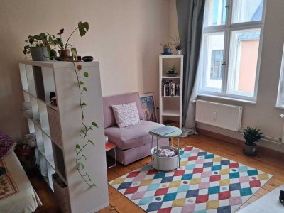 Central 3-person shared apartment for animal lovers with all amenities