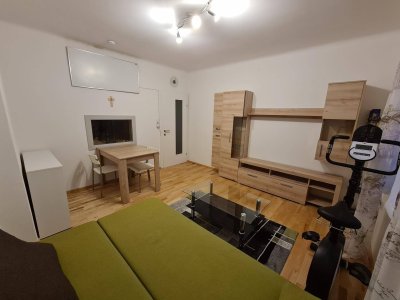 Traumhafte, neu sanierte 44m² Wohnung am Lindenhof