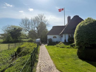 Schöne Aussichten | Reetdachkate mit Weitblick