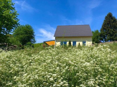 Modernes Einfamilienhaus in Modautal-Ernsthofen, BJ 2018, großes Grundstück, schöne Aussicht