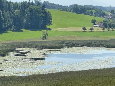 Tolle Aussicht - Bezugsfreie 4-Zi-Whg. in Neuravensburg zu verkaufen