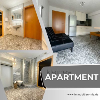 Gepflegtes Apartment in Künzelsau zu vermieten