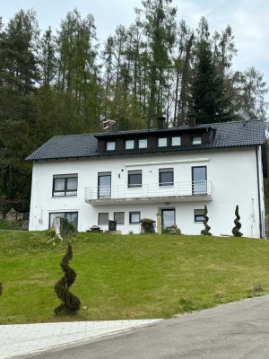 Vollständig renovierte Wohnung mit viereinhalb Zimmern und Balkon in Dürrlauingen