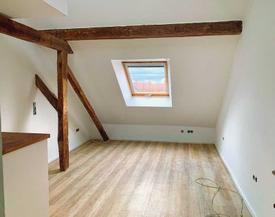 Stilvolle 1-Zimmer-Wohnung in Kaiserslautern - NK inkl. Strom+Gas