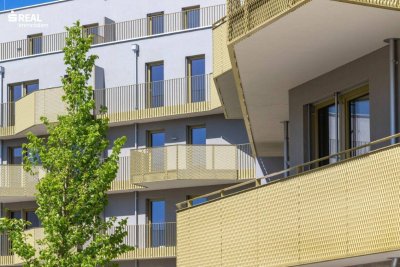 Hirschfeld - Ihr neues Zuhause im Grünen - anfragen, besichtigen, einziehen - 41 bis 96 m²