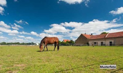 Landwirtschaftliche Hofstelle - provisionsfrei